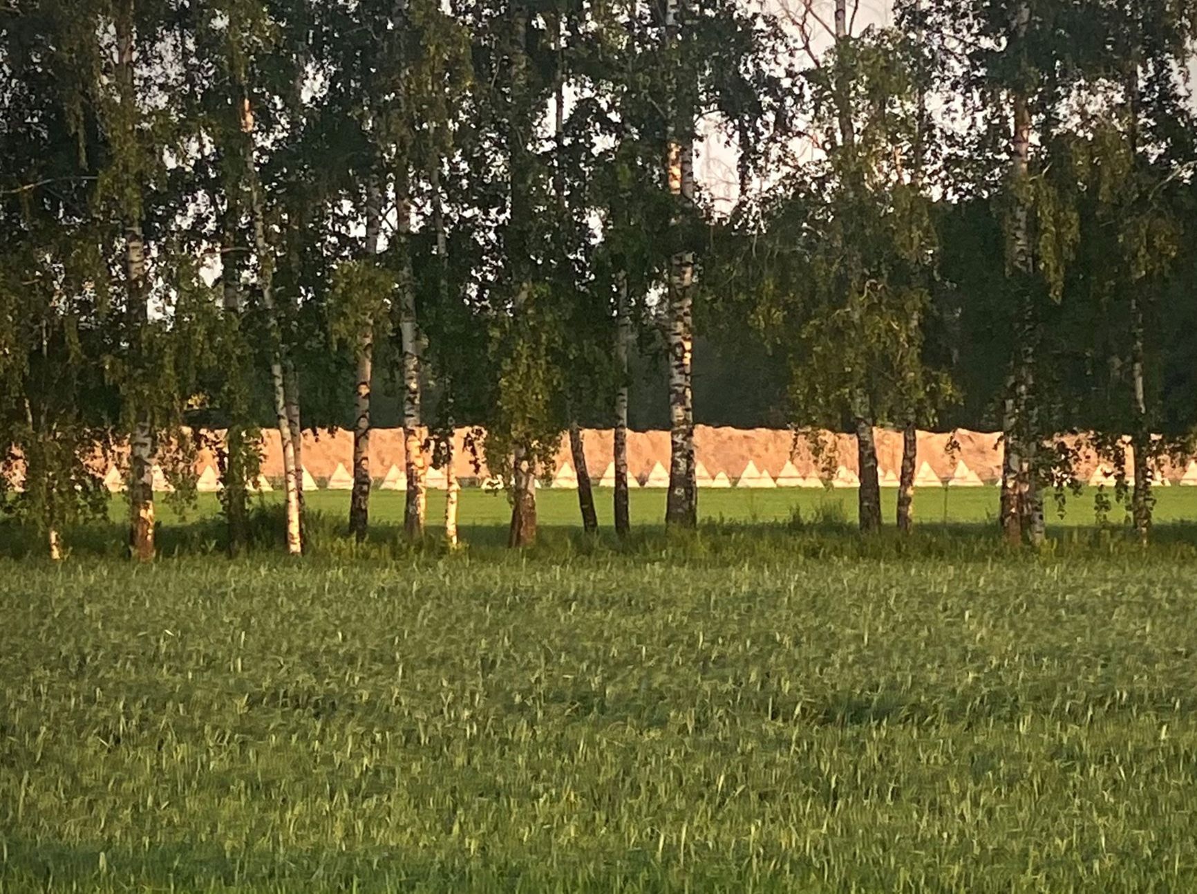 “Defense line” with ditches, trenches and cones